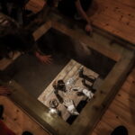 I. STULGAITĖS nuotraukos