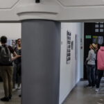 I. STULGAITĖS nuotraukos