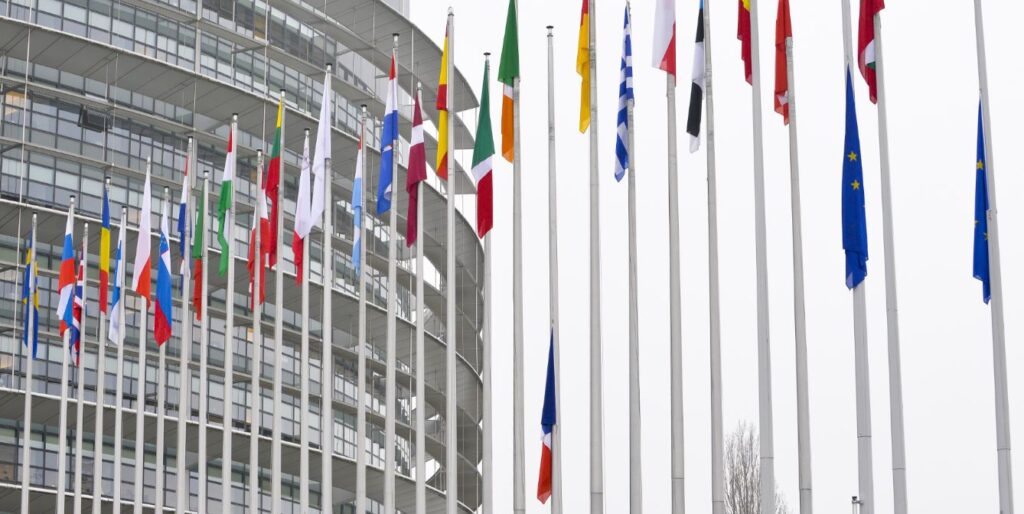 Po sekmadienį vykusių rinkimų Europos Parlamente (EP) turėtų keistis šeši iš vienuolikos Lietuvos atstovų.