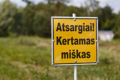 Būsimos Šiaurinės gatvės per Rožyną tiesimo nesustabdė nei mistinis šermuonėlis, nei vienas paskui kitą į Aplinkos ministeriją plūstantys gyventojų skundai. Krūmais ir medžiais apžėlusiame miesto pakraštyje jau zvimbia pjūklai ir burzgia kelininkų technika.