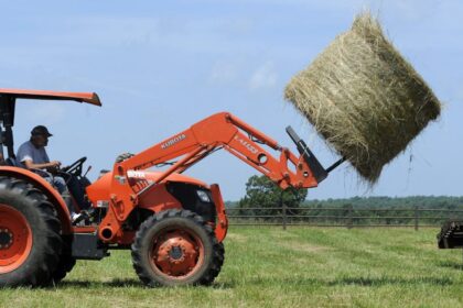 Ilgapirščių grobiu tampa ir vertinga technika, ir net vos kelis eurus kainuojantis pirmos pagalbos rinkinys.