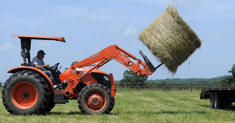 Ilgapirščių grobiu tampa ir vertinga technika, ir net vos kelis eurus kainuojantis pirmos pagalbos rinkinys.