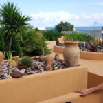 ASMENINIO ARCHYVO nuotraukos