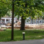 Panevėžyje įsibėgėja Laisvės aikštės ir jos prieigų atnaujinimo darbai. Kraštovaizdžio ir želdynų ekspertų grupė atliko išsamų Laisvės aikštėje augančių 14 medžių fiziologinės būklės ir rizikos aplinkai arboristinį vertinimą.