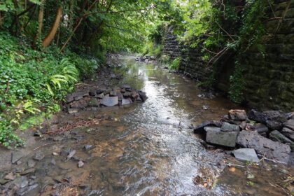 Žmonija iki liepos 29-osios išeikvojo visą kiekį gamtinių išteklių, tokių kaip vanduo, dirvožemis ir švarus oras, kurio turėjo pakakti visiems 2019 metams, sakoma ekspertų sekmadienį paskelbtoje ataskaitoje.