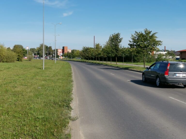 Pėsčiųjų saugumas – jų pačių reikalas – ironizuoja V. Alanto gatvės gyventojai, jau ne vienerius metus bandantys prisibelsti į Savivaldybę, kad ši įrengtų pėsčiųjų perėją.