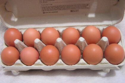 Užkrečiamųjų ligų ir AIDS centro (ULAC) duomenimis, per septynis šių metų mėnesius Lietuvoje užregistruoti 434 susirgimų salmonelioze ir 630 susirgimų kampilobakterioze atvejai. Lyginant su praėjusių metų tuo pačiu laikotarpiu susirgimų salmonelioze padaugėjo 18 proc., kampilobakterioze – 23proc.