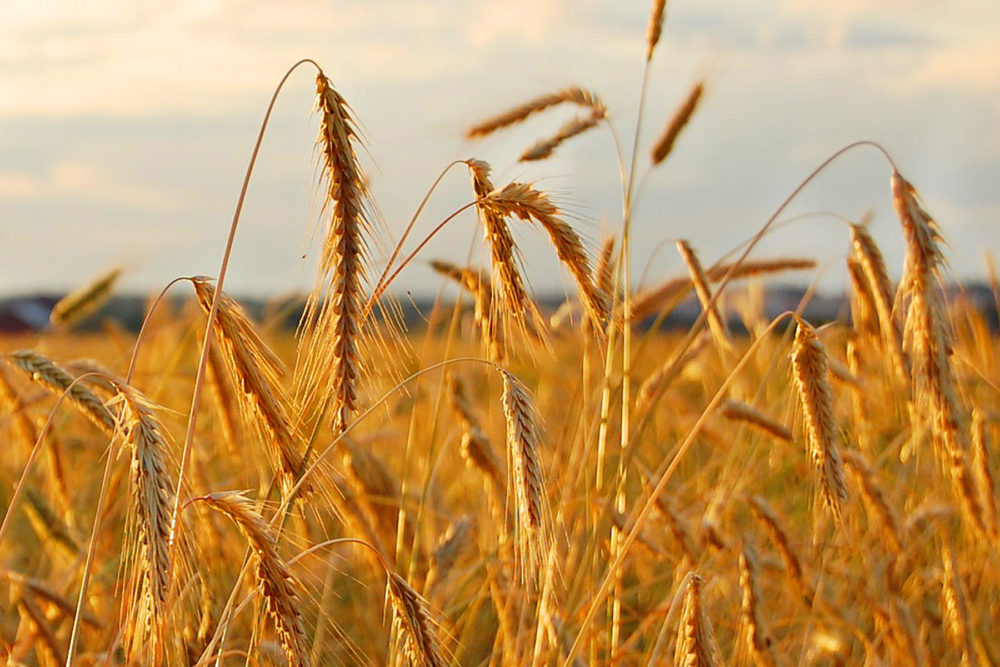 Policija aiškinasi mįslingą vagystę, kurios metu bendrovei padaryti nuostoliai siekia 30 tūkst. eurų.