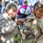 I. STULGAITĖS-KRIUKIENĖS nuotraukos