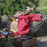 I. STULGAITĖS-KRIUKIENĖS nuotraukos