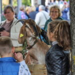 I. STULGAITĖS-KRIUKIENĖS nuotraukos