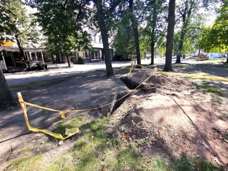 Panevėžio gimtadienio šventė keliems panevėžiečiams tik dėl laimingo atsitiktinumo nesibaigė ligoninės traumatologijos skyriuje. Gyventojai stebisi, kad masinio renginio metu nebuvo tinkamai aptvertos rekonstruojamos Laisvės aikštės duobės. Į vieną tokių, kurios gylis suaugusiam žmogui siekia aukščiau kelių, žnektelėjo bent keli atėję į rekordinį žiūrovų būrį Panevėžyje sutraukusį SEL koncertą.