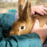 I. STULGAITĖS-KRIUKIENĖS nuotraukos