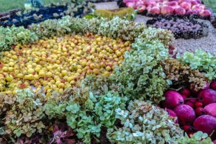 Rugsėjo 10-17 d. lopšelio – darželio „Puriena“ bendruomenė jau dešimtą kartą organizuoja kūrybinių darbų plenerą po atviru dangumi „Gamtos spalvos“.