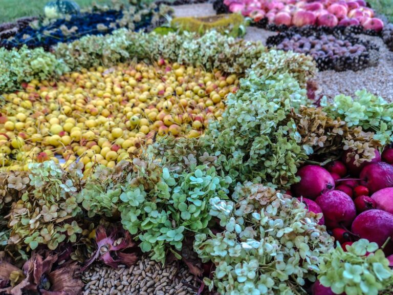 Rugsėjo 10-17 d. lopšelio – darželio „Puriena“ bendruomenė jau dešimtą kartą organizuoja kūrybinių darbų plenerą po atviru dangumi „Gamtos spalvos“.