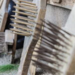 I. STULGAITĖS-KRIUKIENĖS nuotraukos