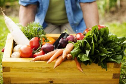 Klimato anomalijos jau kelintus metus dalį daržovių augintojų varo į kampą. Šiųmetis derlius, mažesnis ne tik Lietuvoje, bet ir pas kaimynus, vartotojams nieko gero nežada – menkai užderėjusios daržovės žiemą greičiausiai nebus visiems lengvai įperkamos.