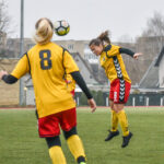 P. ŽIDONIO nuotraukos