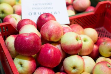 Tam tikrų rūšių obuolius žiemai galima saugoti rūsyje neapdorotus, bet galima bent dalį jų paversti obuolienėmis ar džiovinti. Kodėl? Nes taip įdomiau, skaniau ir tai gali būti puiki dovana.