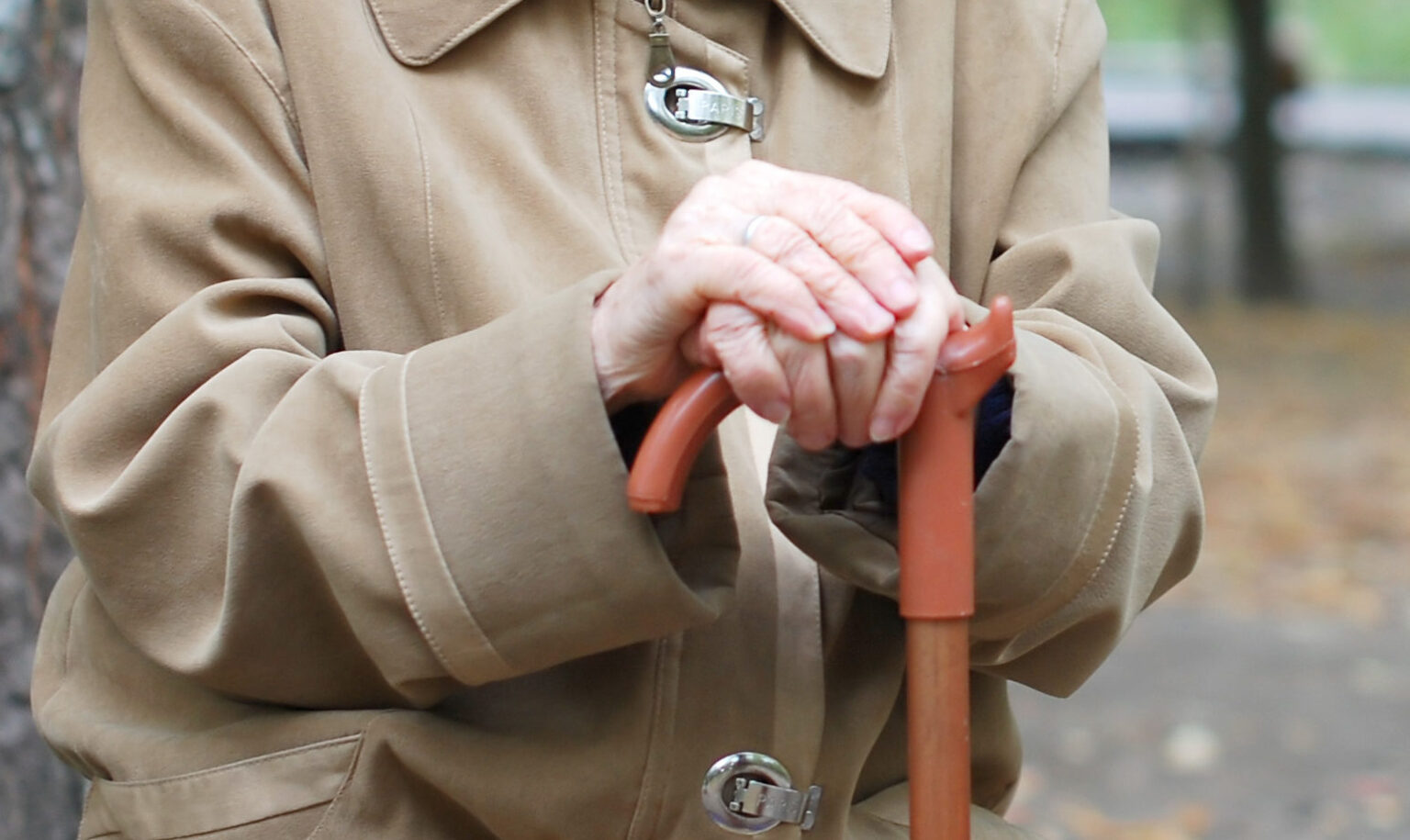Latvijoje ir Estijoje kur kas daugiau žmonių nei Lietuvoje kaupia pensijai papildomai, bet visų trijų šalių gyventojai jaučia nerimą dėl savo finansinės ateities, rodo „Luminor“ antrinės bendrovės „Luminor investicijų valdymas“ užsakymu atlikta apklausa.
