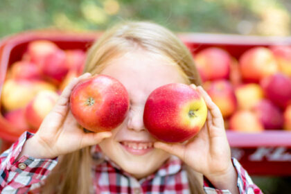 Tarp rudens dovanojamų gėrybių metai iš metų populiarumo viršūnės neužleidžia obuoliai. Nors šie Lietuvos soduose gausiai auginami vaisiai lietuviams yra nuo seno gerai pažįstami ir, rodos, visų mėgstami, sveikatos priežiūros specialistai rekomenduoja į obuolius atsigręžti darsyk bei atrasti jų nepamatuojamą naudą organizmui.