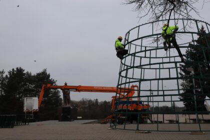 Miesto centre, šalia Panevėžio įkūrėjo Aleksandro skulptūros pirmadienio rytą jau pradėjo kilti pagrindinė miesto eglė. Jau šį penktadienį, lapkričio 29-ąją, ji bus šventiškai įžiebta ir paskelbtas startas kalėdinių švenčių maratonui mieste.