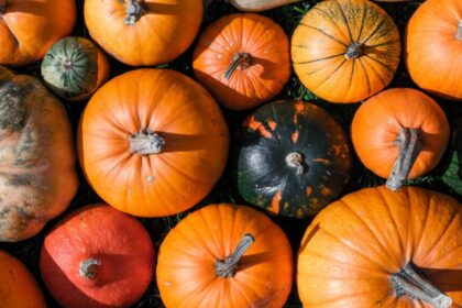 Kartais pamiršta ir ne visų mėgstama oranžinė daržovė savyje slepia daugybę vitaminų ir mineralų, kurių taip reikia sklandžioms įvairių organų funkcijoms užtikrinti ir apsisaugoti nuo ligų.