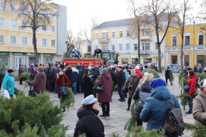 Panevėžio centre pakvipo tikromis Kalėdomis. Į aikštę prie kino centro „Garsas“ miškininkų atvežtų ir nemokamai dalintų eglių bei pušų šakų pasiimti susirinko minia.