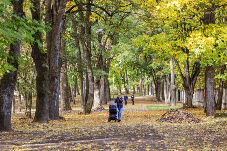 Statybininkų sulaukė dar vienas Panevėžio parkas. Praėjusį penktadienį Savivaldybė pasirašė rangos darbų sutartį su viešųjų pirkimų konkursą seniausiam mieste Skaistakalnio parkui sutvarkyti laimėjusia vietine įmone „Dujotiekio statyba“.