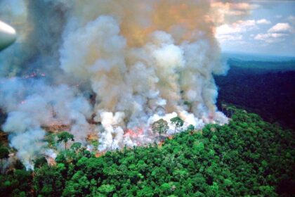 Australijoje vis dar siaučiantys gaisrai laikomi viena didžiausių šios šalies katastrofų per visą istoriją. Tačiau neaprėpiamame pasaulyje yra ir daugiau vietų, kurios buvo skaudžiai paliestos negailestingų ugnies liežuvių.
