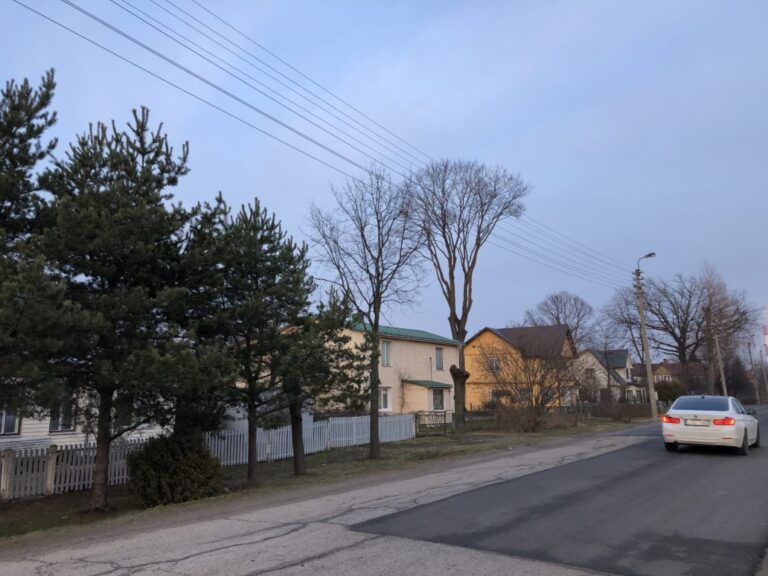 Panevėžio miesto savivaldybė tęsia gerąją praktiką ir antrąkart perka gatvių remonto paslaugas 3 metams. Paskelbtas viešųjų pirkimų konkursas, rangovų pasiūlymų laukiama iki vasario 27 d.