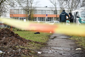 P. ŽIDONIO nuotraukos