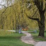 Karantinas dėl koronaviruso gali tęstis ir vasarą, sako sveikatos apsaugos ministras Aurelijus Veryga.