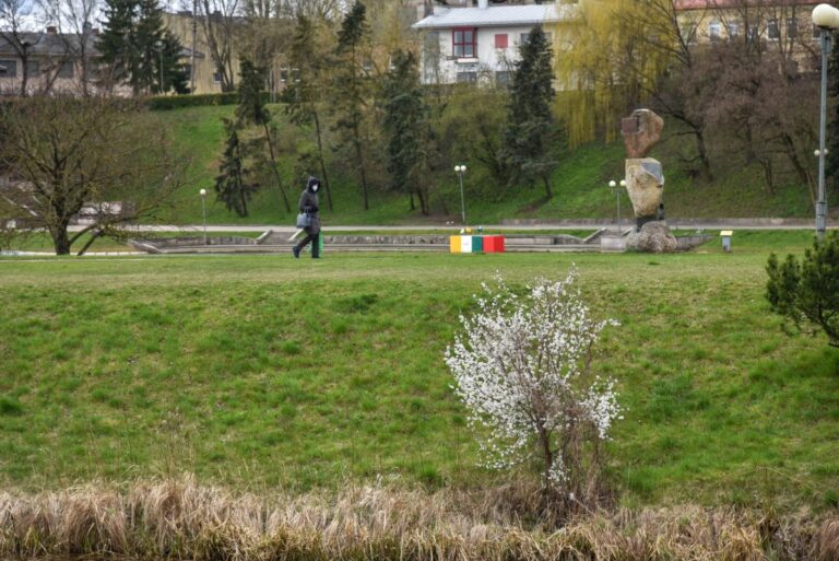 Mažai tikimybės, kad karantinas Lietuvoje bus atšauktas gegužės 11 dieną, teigia sveikatos apsaugos ministras.