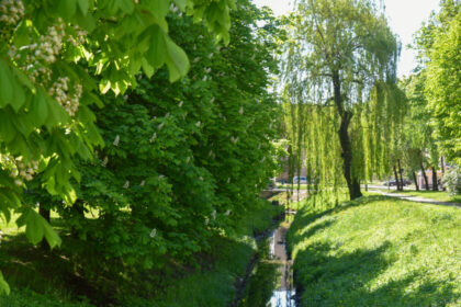 Visos upės teka į jūrą. Rūpestį pasaulio vandenynais panevėžiečiai raginami parodyti nuo savo miesto upių. Gyventojai, jų bendruomenės ir organizacijos birželio 6-ąją kviečiamos įsijungti į tarptautinę akciją ir iš atliekų išvaduoti per Panevėžį tekančias Žagienio ir Nevėžio upes.