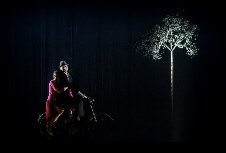 M. I. ŽILĖNAITĖS nuotr.