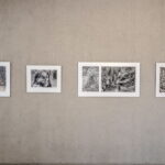 UŽDAROS TERITORIJOS. Jonas Staselis.