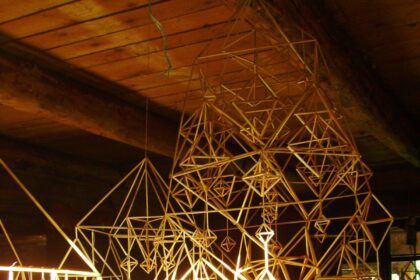 Teatrologė, kadaise garsios populiarios grupės „Elektra“ įkūrėja ir dainininkė, kuriai plojo ir kartu dainavo į koncertus susirinkdavusios minios, vieną dieną su vyru etnologu Linu Bukausku atsisakė daugeliui kaip siekiamybė atrodančios kasdienybės sostinėje ir pasirinko iš esmės kitokį gyvenimo būdą. Ramų ir prasmingą atokioje Paberžėje, visiems laikams paženklintoje Tėvo Stanislovo atvirumu ir meile. Dabar jie gyvena darnoje su gamta, be reklamos ir pompastikos kuria meninius, šviečiamuosius projektus, augina mišką, kuriame šokinėja voverės, santarvėje gyvena rupūžės, driežai, griežlės, kurapkos, Vida pina šiaudinius sodus ir žolininkauja.