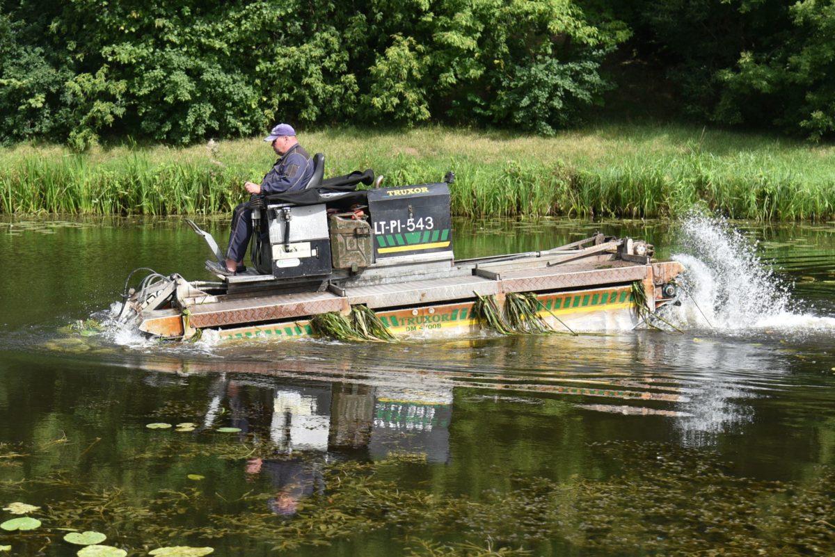 Artėjant vasarai Panevėžio savivaldybė ieško šienpjovių Nevėžio upei šienauti.