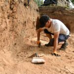 Archeologų pastaraisiais metais keliose miesto vietose surasti senųjų miestelėnų palaikai jau liepos pabaigoje turėtų vėl atgulti amžino poilsio. Juos planuojama perlaidoti Venslaviškio gatvėje – vietoje, kur perkeliami visi senųjų panevėžiečių kaulai.