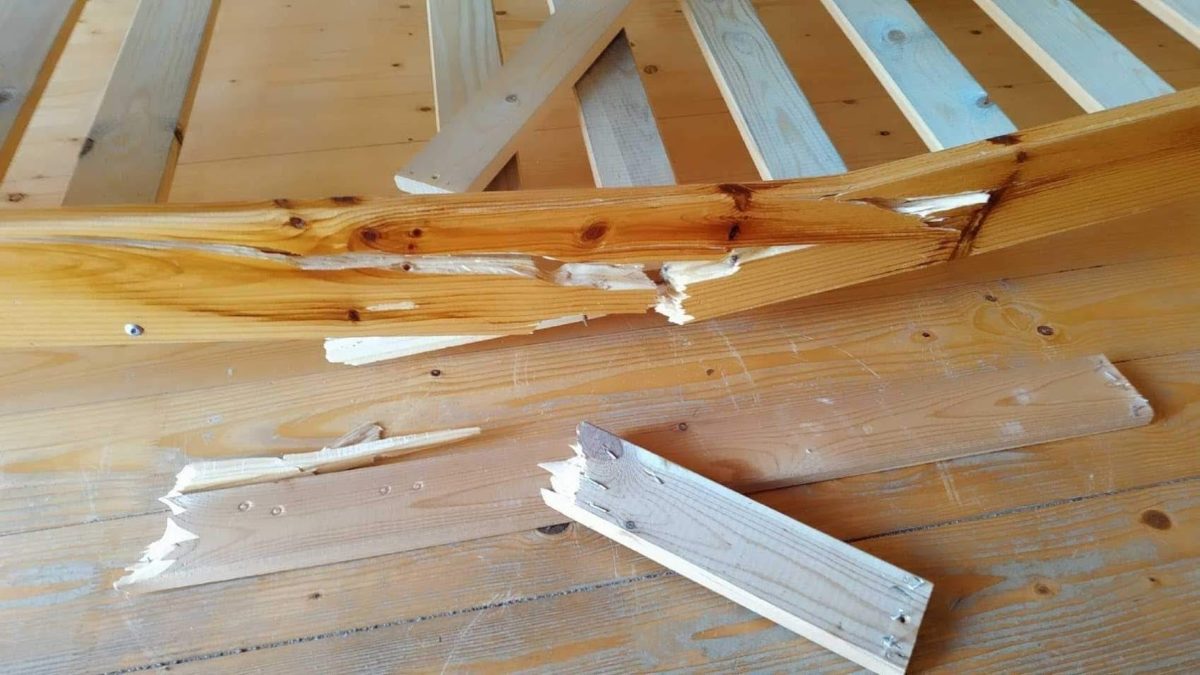 Krekenaviškė tvirtina, jog sena lova įlūžo dėl ligotos moters svorio, nors kempingo savininkas nebuvo įspėjęs apie jokius svorio ribojimus.