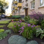 Panevėžio miesto savivaldybės gražiausiai tvarkomos aplinkos konkurso komisija išrinko šiemečius laimėtojus. Laimėtojai buvo renkami 3 grupėse – daugiabučių, įstaigų ir įmonių bei individualių namų.