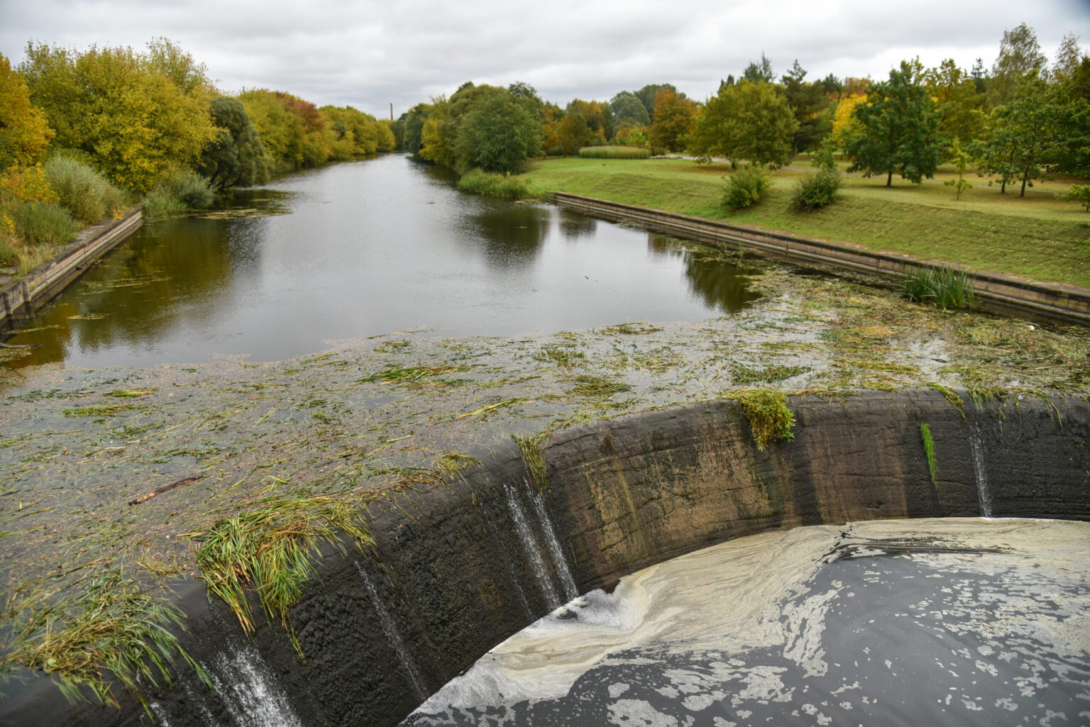 Gamtai padarytos tūkstantinės žalos, kai per Panevėžį tekančiame Nevėžyje išgaišo daugiau nei pusšimtis žuvų, kaltininką kol kas pridengė koronavirusas.