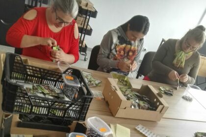 Panevėžio jaunuolių dienos centro lankytojai – proto negalią turintys panevėžiečiai mielai imtųsi įvairių nesudėtingų darbų, tačiau verslininkai neskuba naudotis tokia darbo jėga.