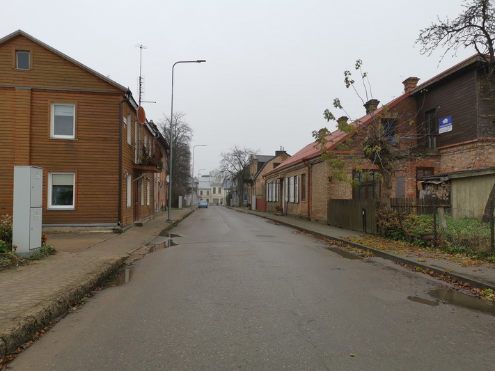 Š Mero gatvė. I. STULGAITĖS-KRIUKIENĖS nuotr.