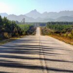 Važiuojant Tsitsikamma nacionaliniu parku. ASMENINIO ARCHYVO nuotr.