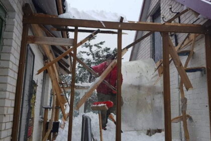 Panevėžio gyvūnų globos draugijos prieglaudoje Kaimiškyje neatlaikiusi sniego dangos įlūžo terasa, kurioje šiltesnes dienas praleisdavo murklės. Pasisekė, kad nuostolių patirta tik finansinių.