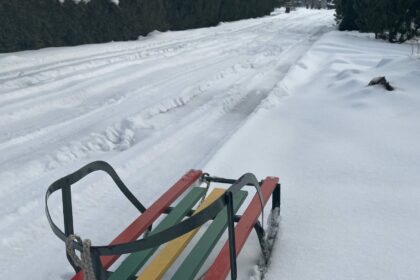 Karantinas sukėlė nemažai rūpesčių rajono seniūnijoms. Paprastai turėję nemažą būrį pagalbininkų, už pašalpas atliekančių visuomenei naudingą darbą, dabar seniūnai suka galvas, kur rasti sniego kasėjų.