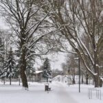 Jaunimo parkas. P. Židonio nuotr.