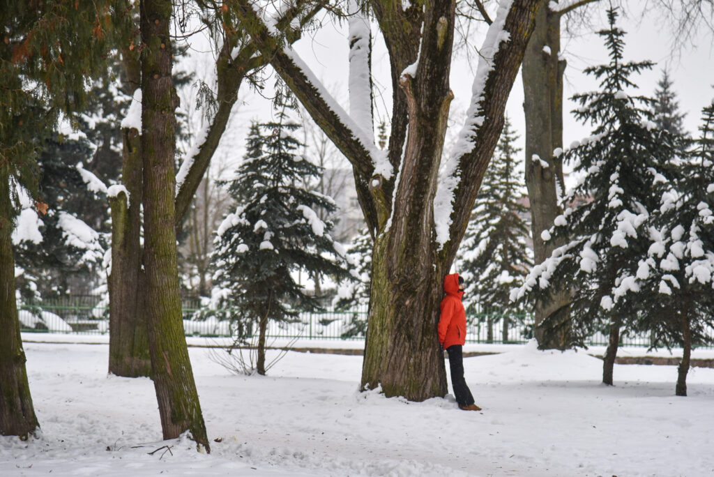 Atnaujintas Jaunimo parkas, įsiterpęs tarp A. Jakšto ir Marijonų gatvių, gali gauti prieš karą šioje vietoje sodą puoselėjusių marijonų vienuolių vardą.